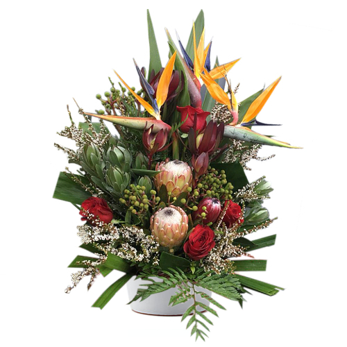 Elegant long lasting wildflower varieties including birds of paradise and a mix of protea are given a boost of aromatic perfume with fresh cut red roses.