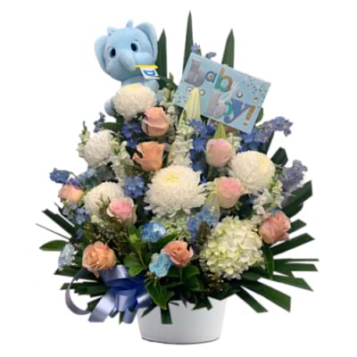 Baby Boy Floral Gift