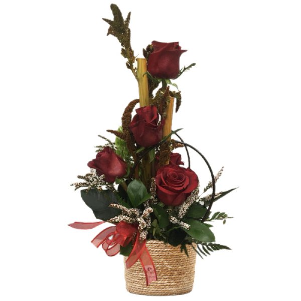 Upright Roses